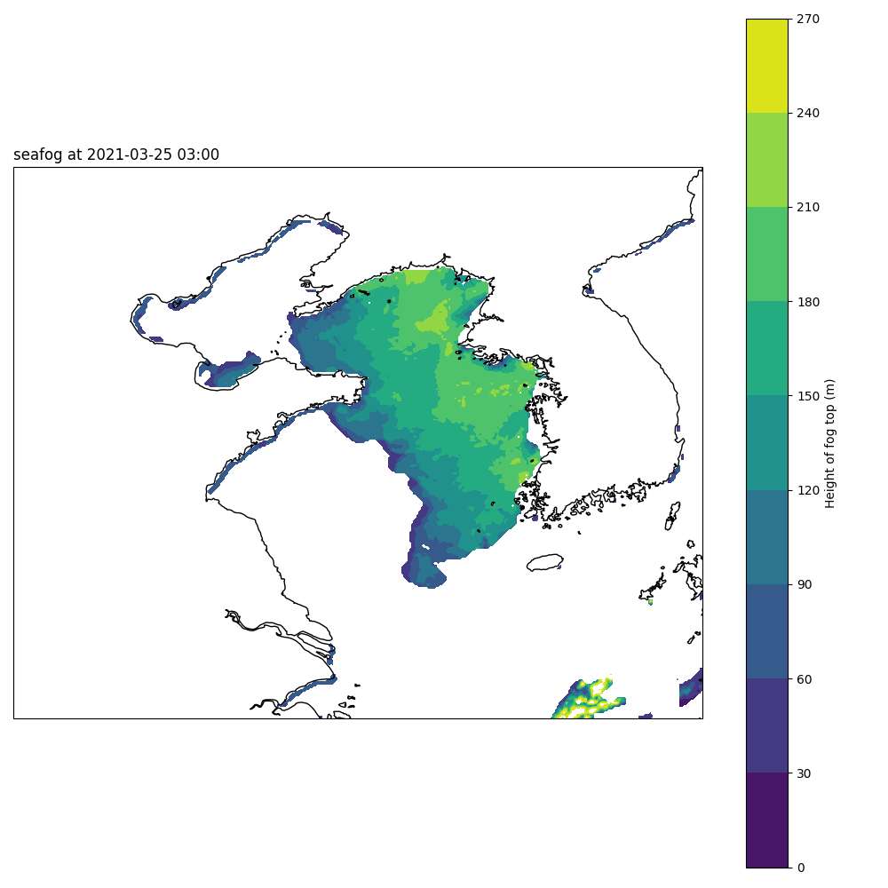 ../_images/fog_area.png